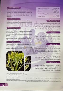 خاکشیر